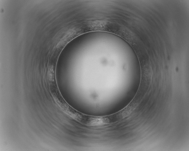 X0000057080083200509091259