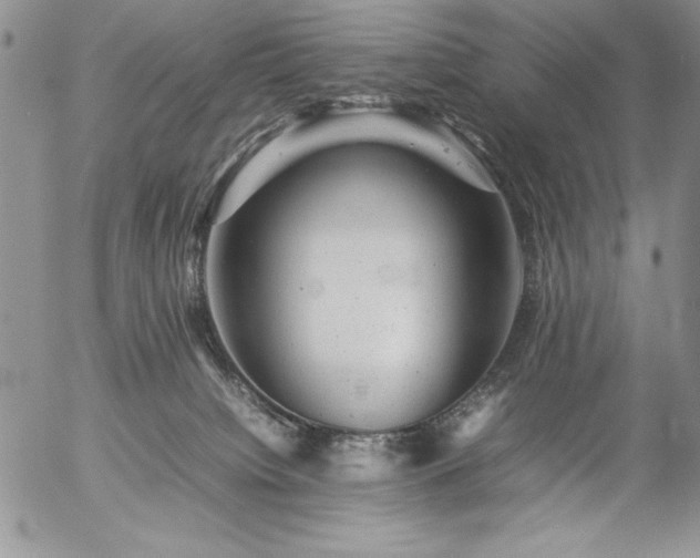 X0000057080084200509091259