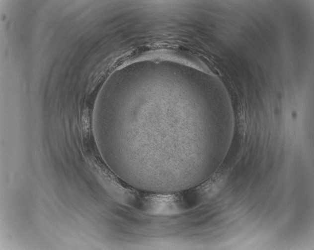 X0000057080085200509091259