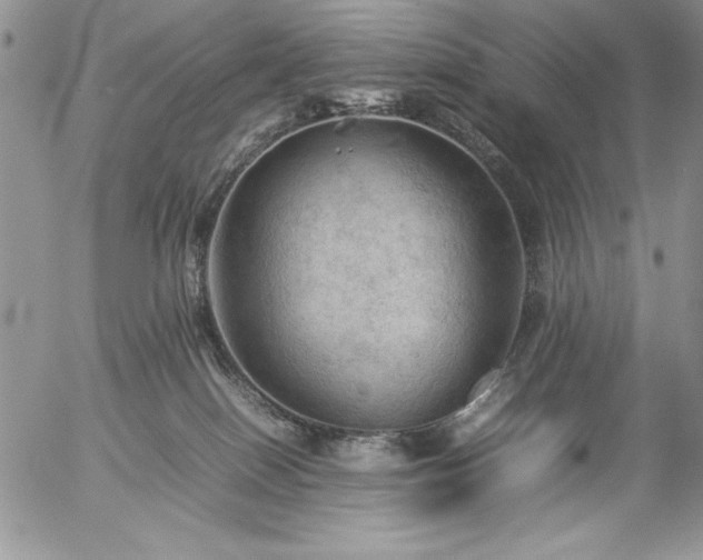 X0000057080086200509091259