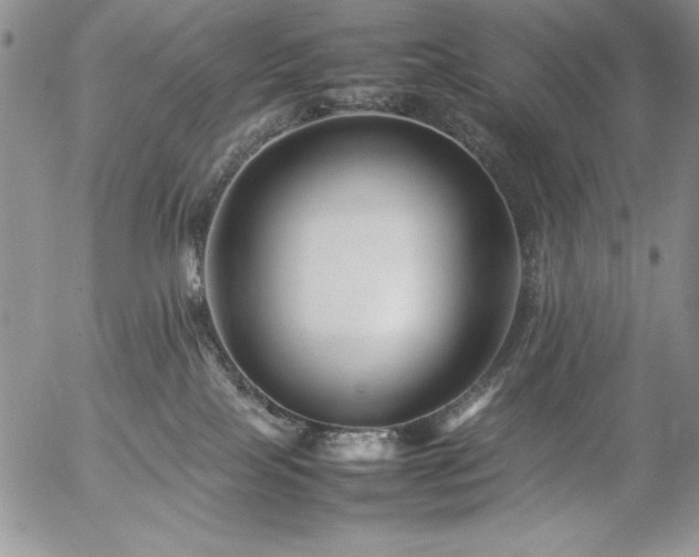 X0000057080089200509091259