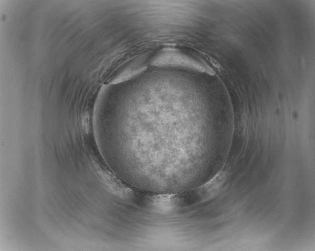 X0000057080090200509091259