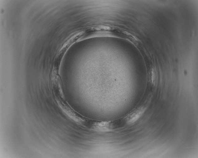 X0000057080092200509091259