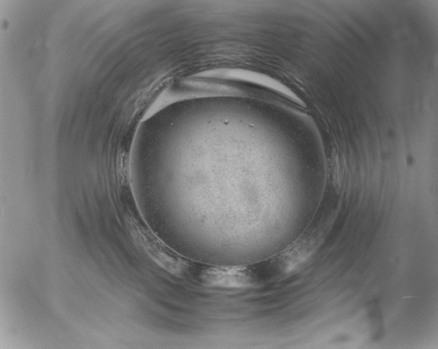 X0000057080093200509091259