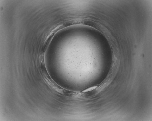 X0000057080096200509091259