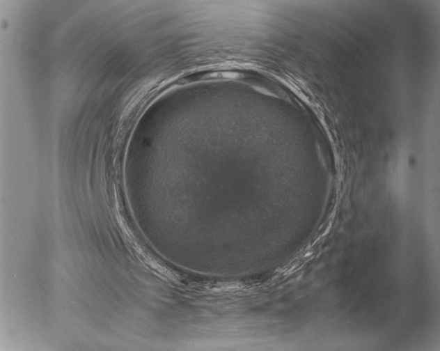 X0000057080097200509091258