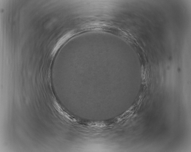 X0000057080099200509091258