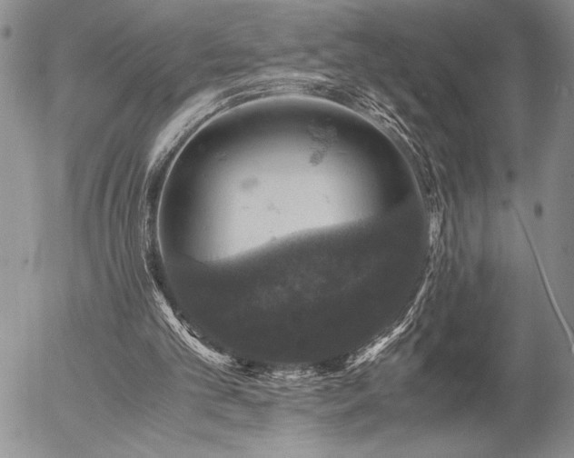 X0000057080101200509091258