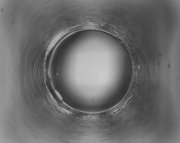 X0000057080102200509091258