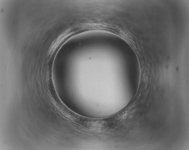 X0000057080103200509091258