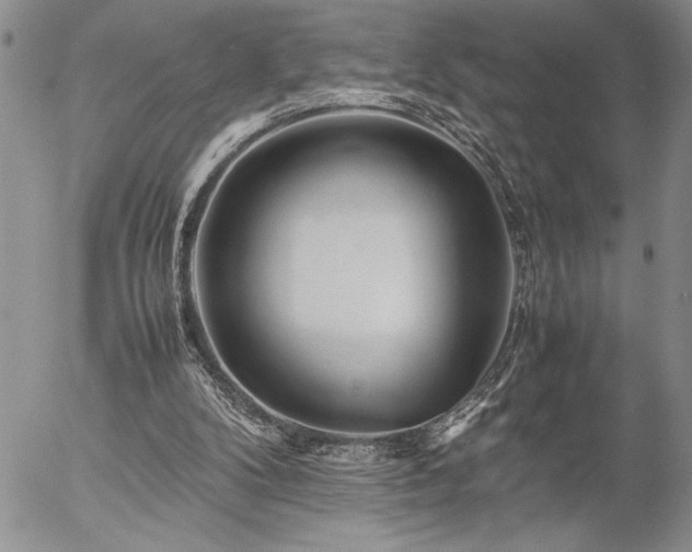 X0000057080104200509091258