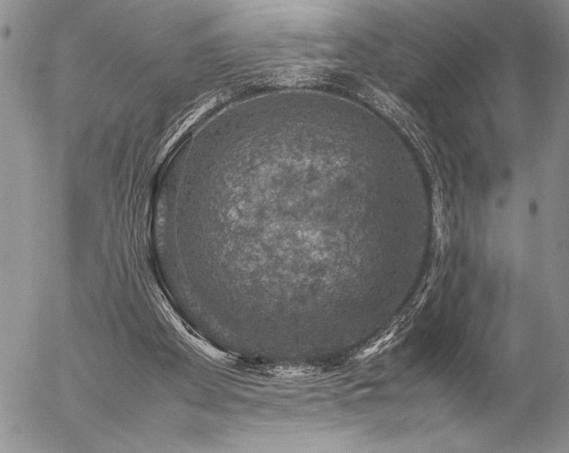 X0000057080105200509091258