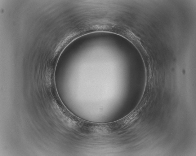 X0000057080106200509091258