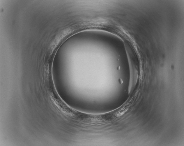 X0000057080107200509091258