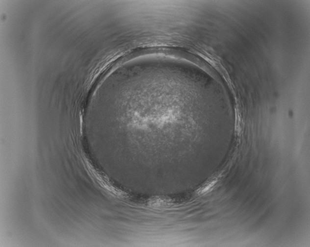 X0000057080109200509091258