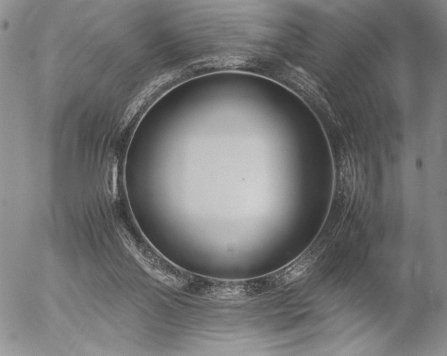 X0000057080110200509091258