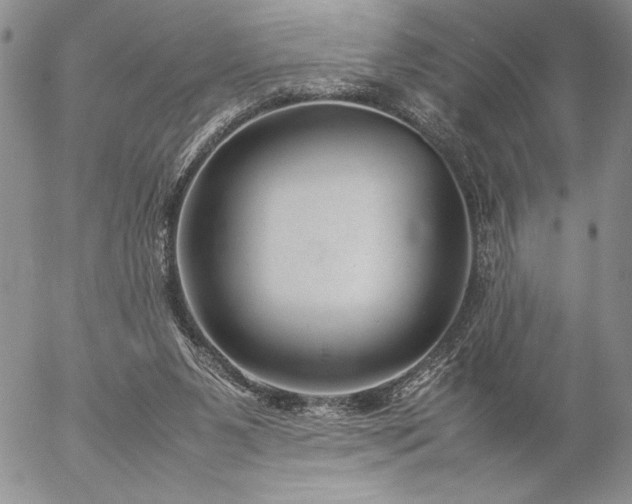 X0000057080111200509091258