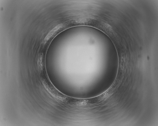 X0000057080116200509091258