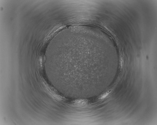 X0000057080117200509091258