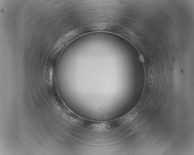 X0000057080118200509091258