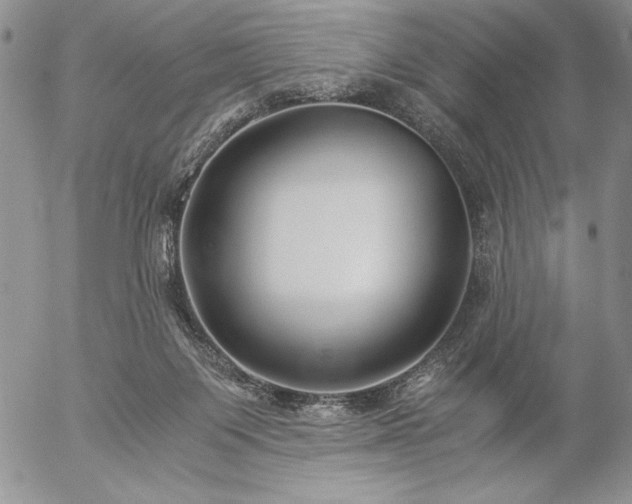 X0000057080119200509091258