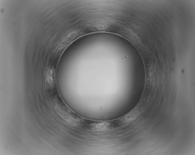 X0000057080122200509091258