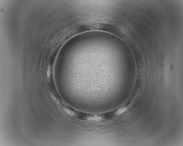 X0000057080125200509091258