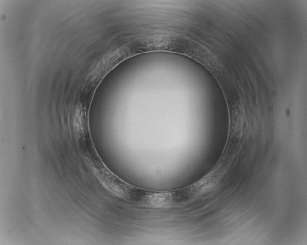 X0000057080126200509091257