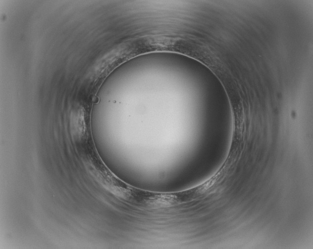 X0000057080128200509091257