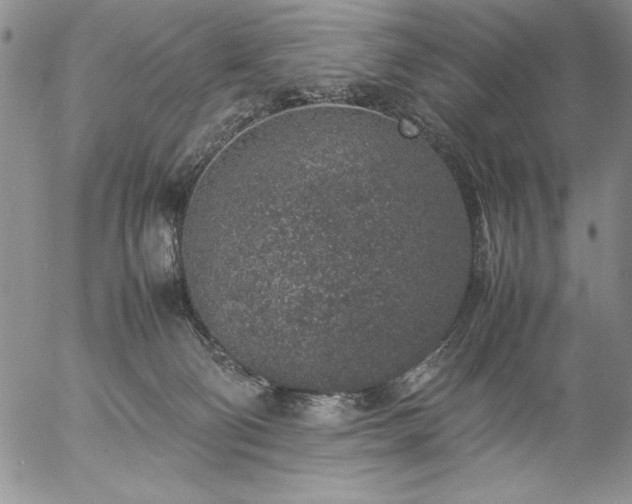 X0000057080130200509091257