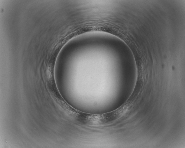 X0000057080131200509091257