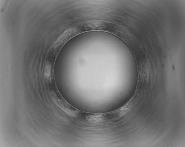 X0000057080132200509091257