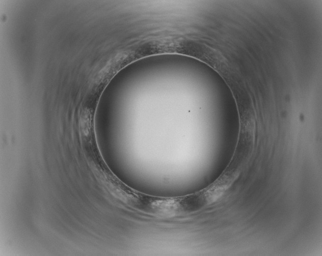 X0000057080133200509091257