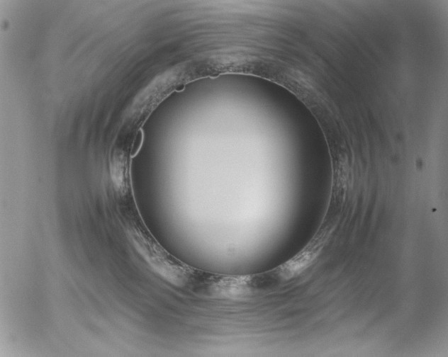 X0000057080138200509091257