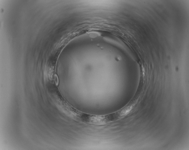 X0000057080139200509091257