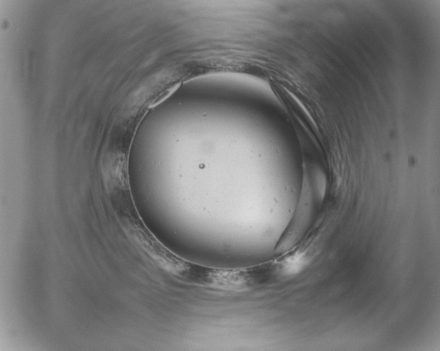 X0000057080141200509091257