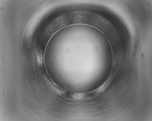 X0000057080142200509091257