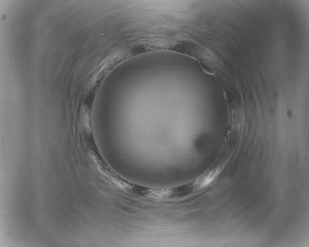 X0000057080143200509091257