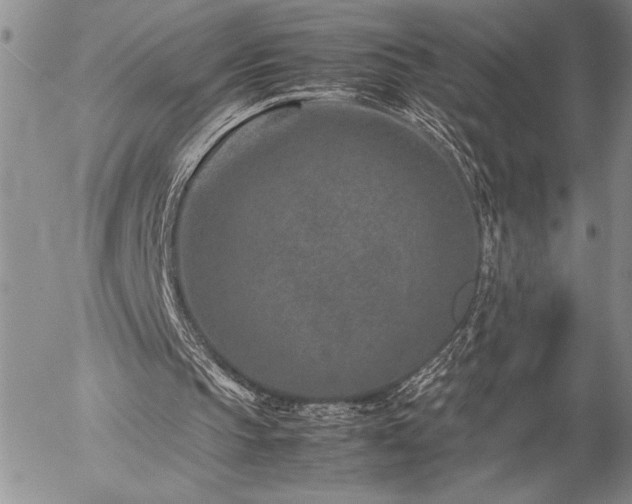 X0000057080145200509091256