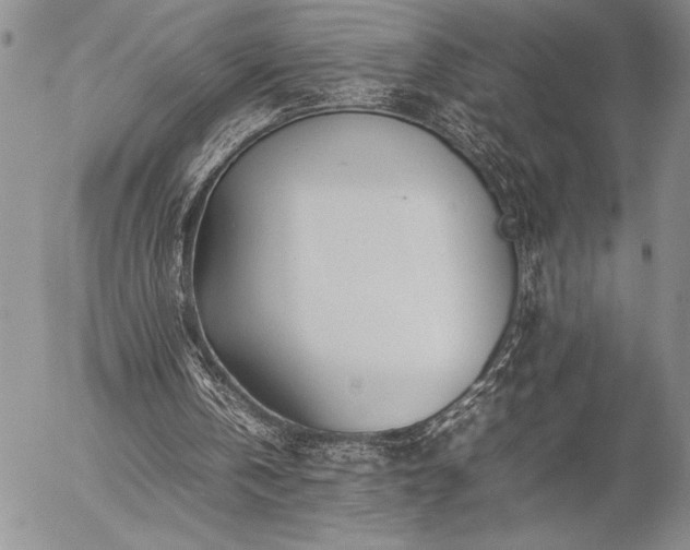 X0000057080146200509091256