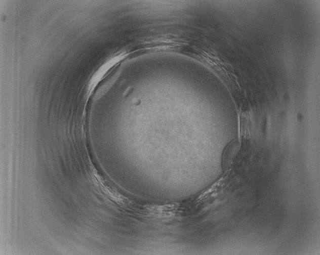 X0000057080147200509091256