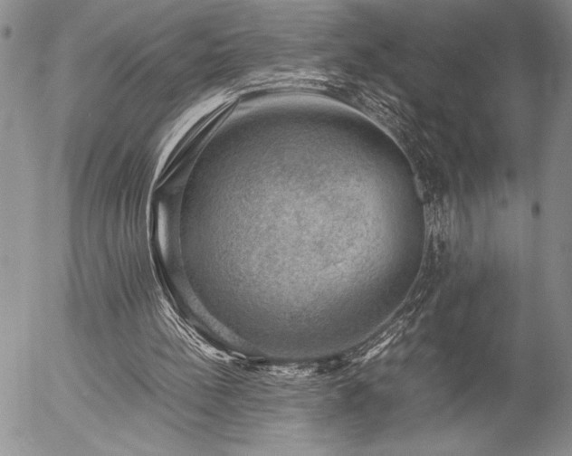 X0000057080148200509091256