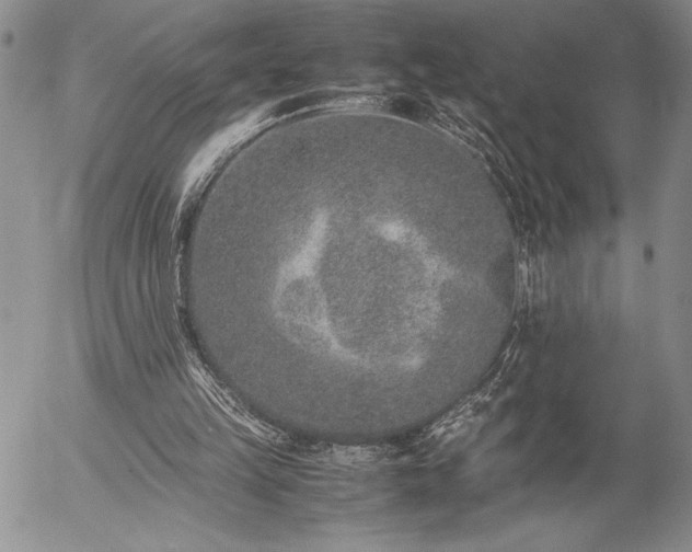 X0000057080149200509091256