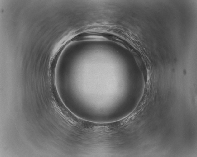 X0000057080150200509091256