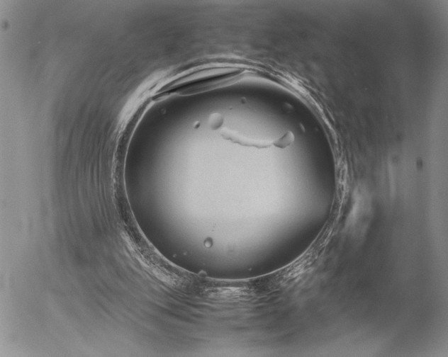 X0000057080151200509091257