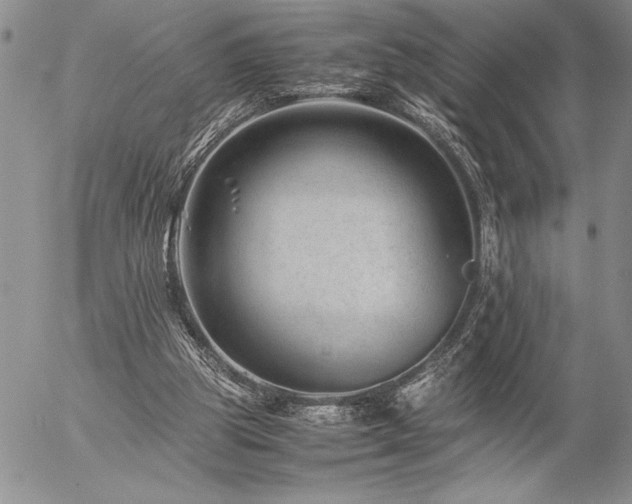 X0000057080153200509091257