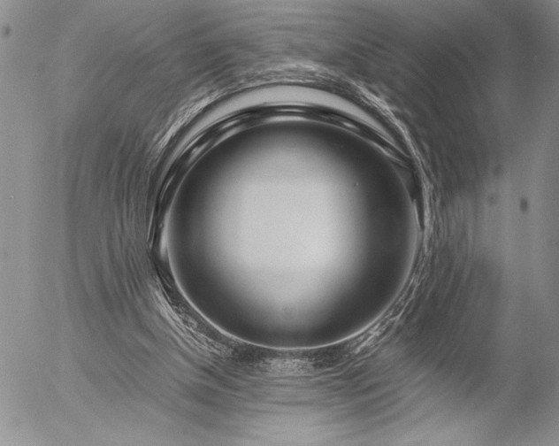 X0000057080154200509091257