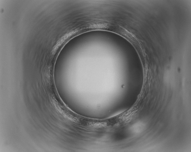 X0000057080155200509091257