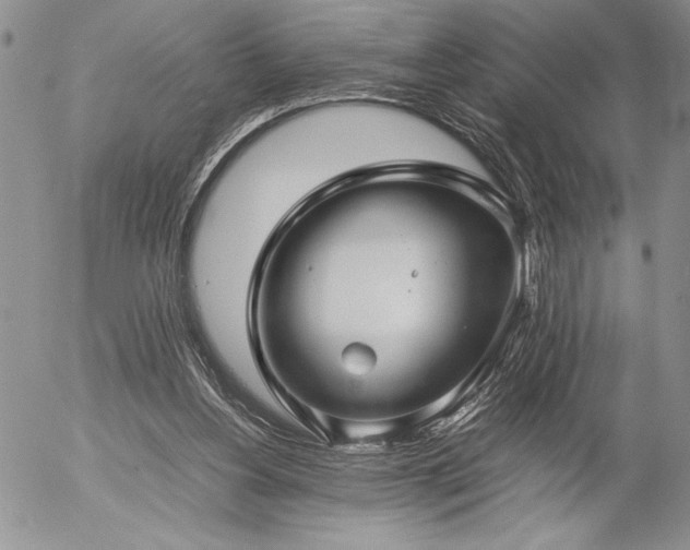 X0000057080156200509091257