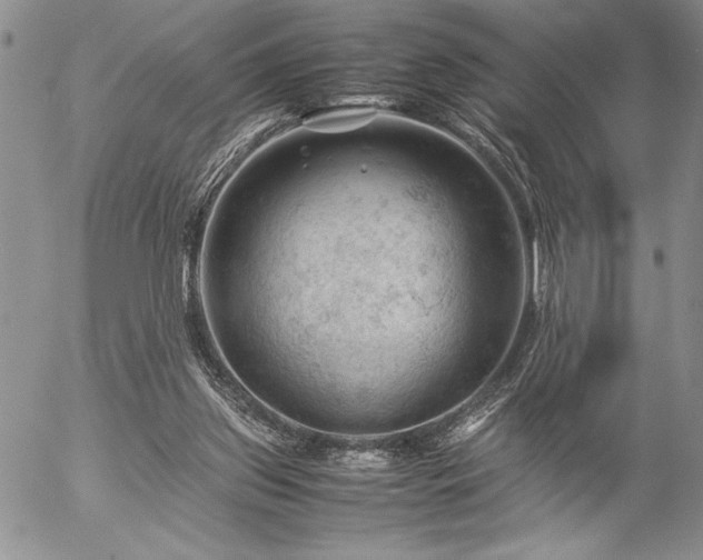 X0000057080157200509091257